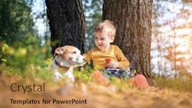  Presentation with pets - Presentation theme with small-kid-in-yellow-sweater background and a yellow colored foreground