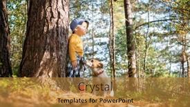  Presentation with yellow - Audience pleasing presentation consisting of small-kid-in-yellow-sweater backdrop and a gold colored foreground