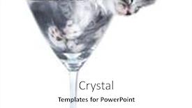  Presentation with kitten - Theme consisting of small-kitten-on-a-white background and a white colored foreground