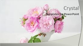  Presentation with light roses - PPT theme enhanced with small-light-pink-bouquet background and a white colored foreground