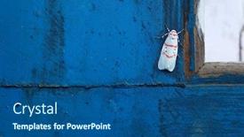  Presentation with moth - Audience pleasing slide set consisting of small-moth-on-blue-painted backdrop and a ocean colored foreground