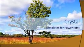  Presentation with oak - Cool new presentation theme with small oak on red autumn backdrop and a sky blue colored foreground