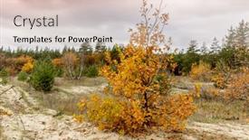  Presentation with oak forest - Presentation theme enhanced with small-oak-tree-on-meadow background and a lemonade colored foreground