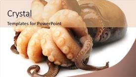  Presentation with octopus - Slide set enhanced with small octopus isolated on white background background and a coral colored foreground