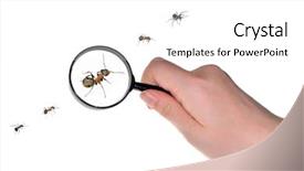  Presentation with blonde holding magnifying glass - Beautiful presentation theme featuring small people magnifier hands - woman hand holding magnifying isolated backdrop and a white colored foreground