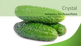  Presentation with cucumbers - Colorful PPT layouts enhanced with small pile of cucumbers isolated backdrop and a yellow colored foreground