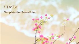  Presentation with azalea - PPT layouts enhanced with small pink azalea with sandy background and a lemonade colored foreground