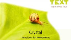  Presentation with abstract green smoke - Beautiful PPT theme featuring small plant - abstract green leaf border nature backdrop and a yellow colored foreground