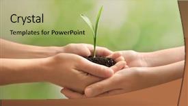  Presentation with seedling - Amazing theme having small plant - women holding green seedling backdrop and a mint green colored foreground