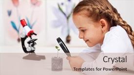  Presentation with young plant - Slide deck having small plant in elementary science background and a soft green colored foreground