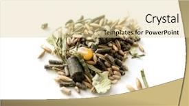  Presentation with cereal grains - Cool new PPT layouts with small portion of different nutritious grains and cereal for a chilean degu closeup backdrop and a blonde colored foreground
