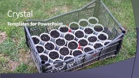  Presentation with botany - Presentation theme having small-pots-ready-for-botany background and a seafoam green colored foreground