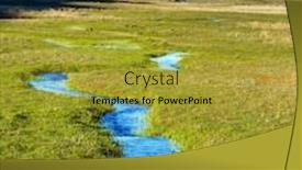  Presentation with grass - Amazing presentation design having small-puddles-and-streams-overgrown backdrop and a gold colored foreground