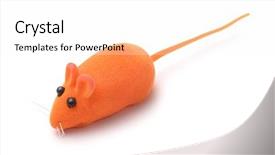  Presentation with pet - Colorful presentation design enhanced with orange pet toy mouse isolated backdrop and a white colored foreground