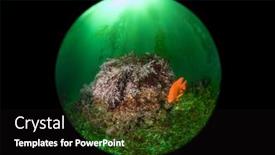  Presentation with bed - PPT theme enhanced with small-reef-along-side background and a black colored foreground
