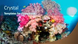  Presentation with sunshine - Cool new PPT theme with small-reef-formation-in-fiji backdrop and a ocean colored foreground