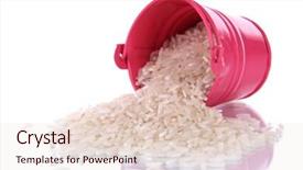  Presentation with grains - Beautiful PPT layouts featuring small rice plant - overturned bucket with grains isolated backdrop and a  colored foreground