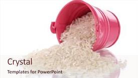  Presentation with sorghum grains in a bucket - PPT theme featuring small rice plant - overturned bucket with grains isolated background and a  colored foreground