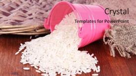  Presentation with grains - Slide set with small rice plant - overturned bucket with grains background and a  colored foreground