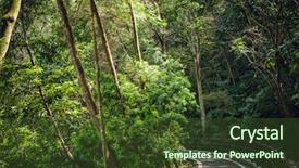  Presentation with nobody - Colorful slide deck enhanced with small road by trees backdrop and a tawny brown colored foreground