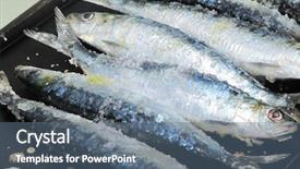  Presentation with sardines - PPT theme with small scale industry - cooking brought fresh sardines sea background and a  colored foreground