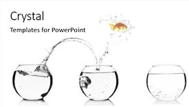  Presentation with goldfish jumping out - Slide deck enhanced with small scale industry - goldfish jumping into glass aquarium background and a  colored foreground