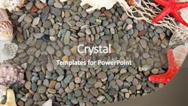  Presentation with sea shells - Slide deck with jackfruit and seed isolated on white background background and a blonde colored foreground