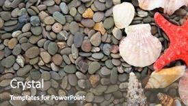  Presentation with sea shells - PPT theme with small sea stones and shells close up background and a gray colored foreground