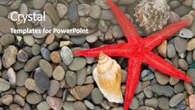  Presentation with sea shells - Theme with small sea stones and shells close up background and a gray colored foreground