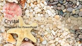  Presentation with sea shells - Audience pleasing theme consisting of small sea stones and shells close up backdrop and a lemonade colored foreground