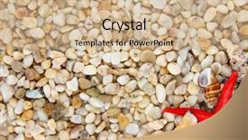  Presentation with sea shells - Cool new slide deck with small sea stones and shells close up backdrop and a coral colored foreground