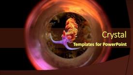  Presentation with spanish food - Presentation design having small-spanish-shawl-nudibranch-snail background and a tawny brown colored foreground