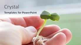  Presentation with green life - Presentation theme consisting of small-spring-sprout-in-horticultural background and a lemonade colored foreground