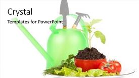  Presentation with garden tools - Beautiful PPT theme featuring plant evolution - small sprout in a pot backdrop and a white colored foreground