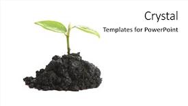  Presentation with sprout - Beautiful theme featuring small-sprout-isolated-on-white backdrop and a white colored foreground