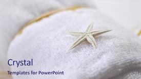  Presentation with seashell - Presentation consisting of small star fish seashell placed background and a sky blue colored foreground