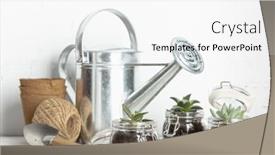 Presentation with garden tools - Beautiful presentation design featuring small-succulent-plants-in-glass backdrop and a white colored foreground