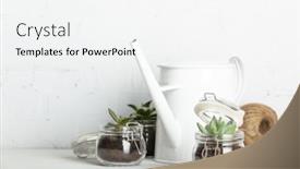  Presentation with white brick wall - Presentation theme consisting of small-succulent-plants-in-glass background and a white colored foreground