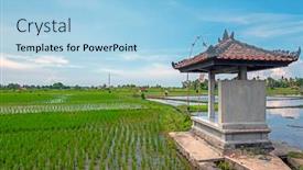  Presentation with rice fields - Audience pleasing slide deck consisting of small-temple-at-the-rice backdrop and a light blue colored foreground
