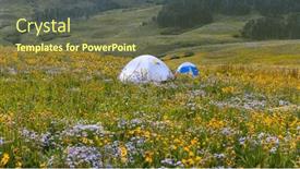  Presentation with summer time - Presentation theme with small-tent-surrounded-with-wildflowers background and a  colored foreground