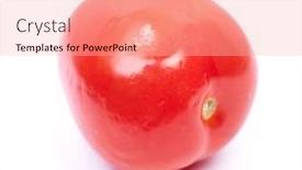  Presentation with mold - Slide deck with small-tomato-with-mold-isolated background and a lemonade colored foreground