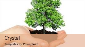  Presentation with green tree - PPT layouts enhanced with small tree in hand isolated background and a coral colored foreground