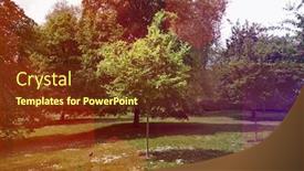  Presentation with sun - PPT theme with small-tree-in-the-park background and a tawny brown colored foreground