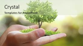  Presentation with plant growth - PPT theme having small tree plant background and a mint green colored foreground