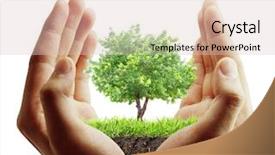  Presentation with tree roots - Beautiful slides featuring small tree plant backdrop and a lemonade colored foreground