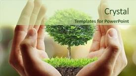  Presentation with plant - Presentation theme with small tree plant background and a mint green colored foreground