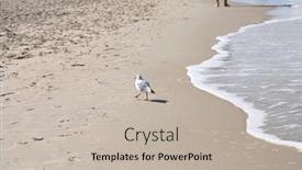  Presentation with water wave - 