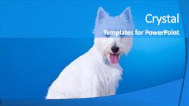  Presentation with mouth - PPT layouts having mouth open on a blue background and a teal colored foreground