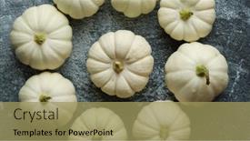  Presentation with baby - PPT theme having small-white-baby-boo-mini background and a coral colored foreground