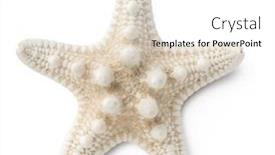  Presentation with starfish - Slide deck enhanced with small-white-starfish-sea-star background and a white colored foreground